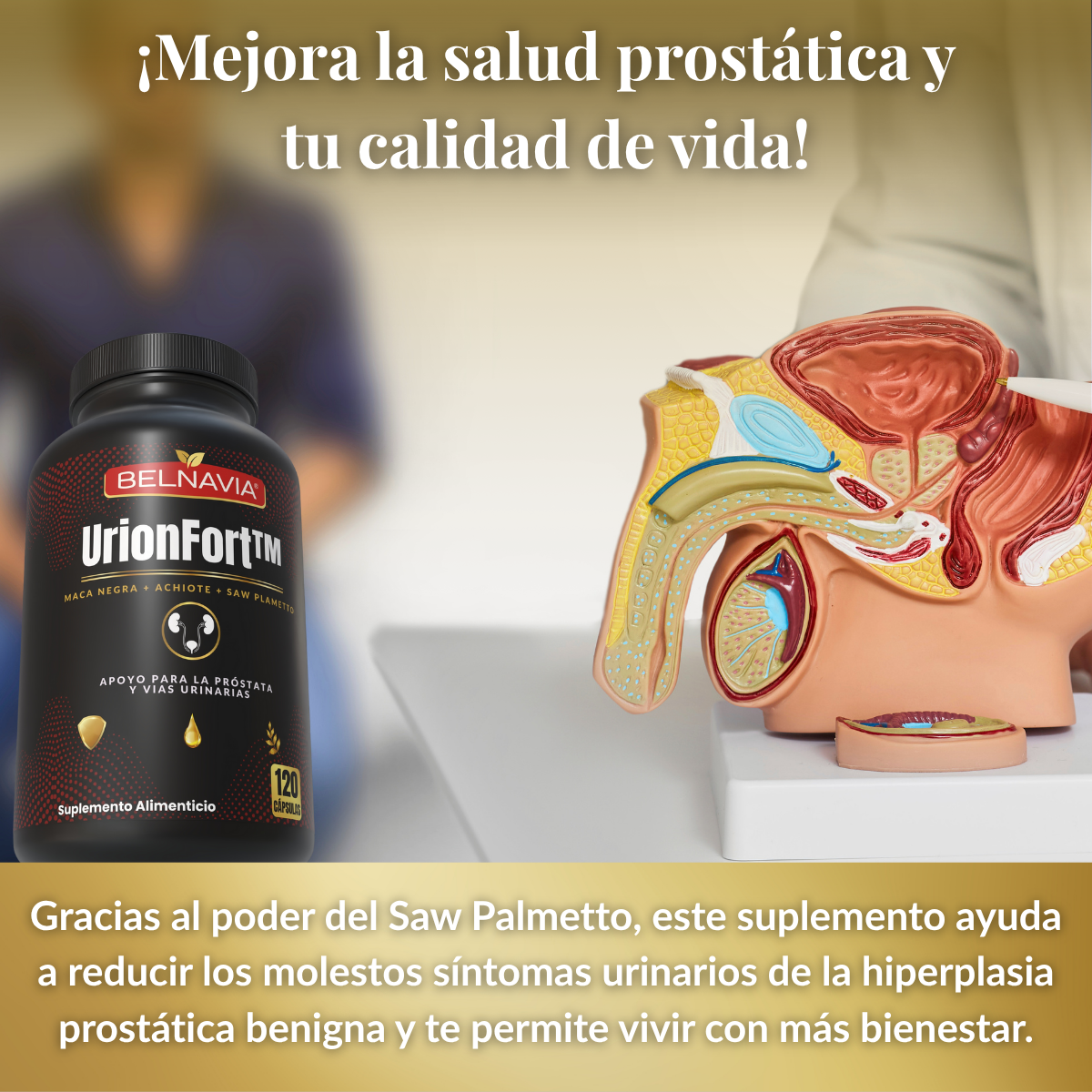 UrionFort™ Apoyo para la Salud de la Próstata