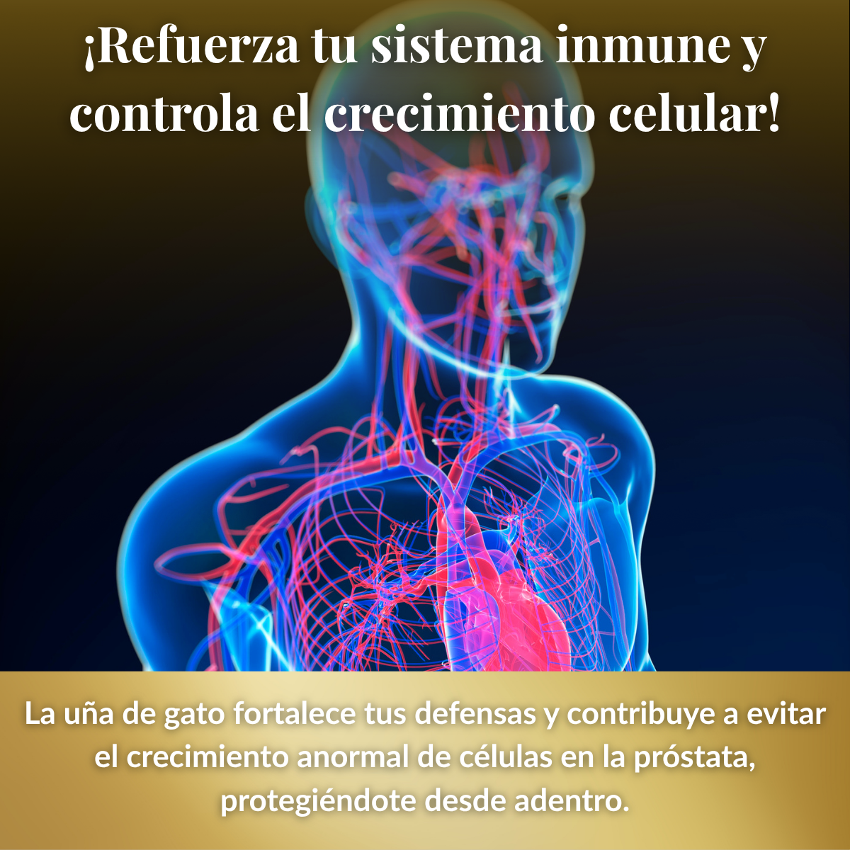 UrionFort™ Apoyo para la Salud de la Próstata