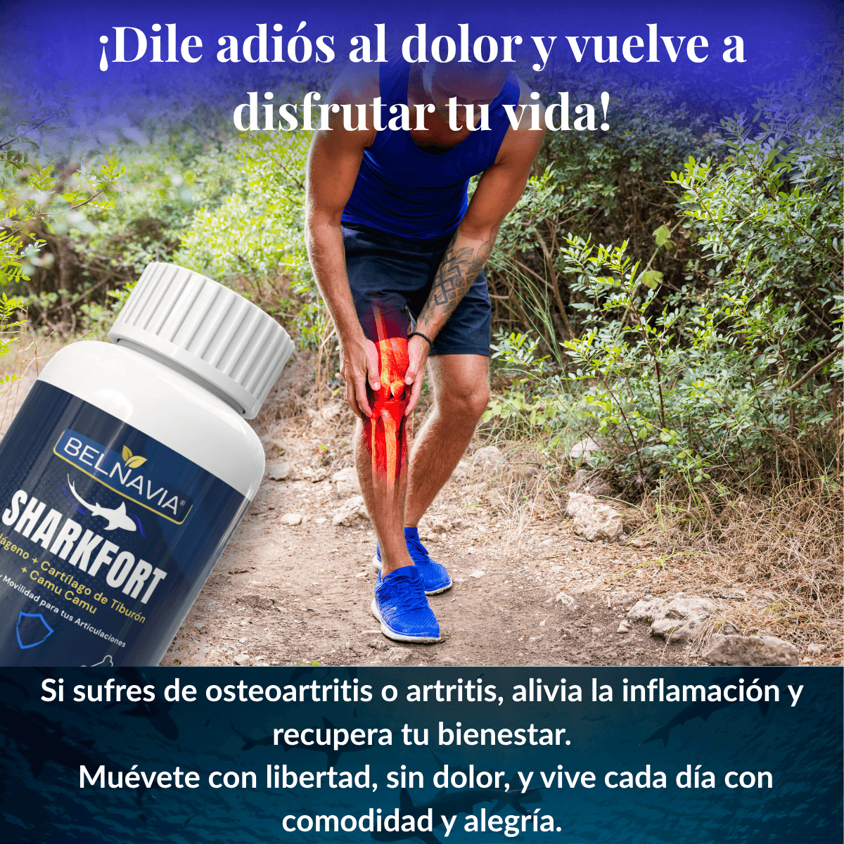 SharkFort™ - Colágeno Hidrolizado + Camu Camu + Cartílago de Tiburón