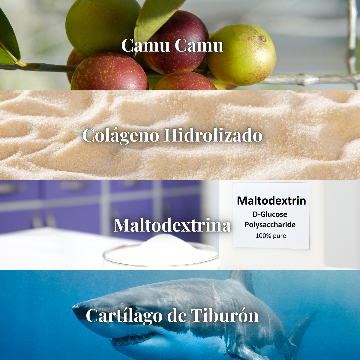 SharkFort™ - Colágeno Hidrolizado + Camu Camu + Cartílago de Tiburón