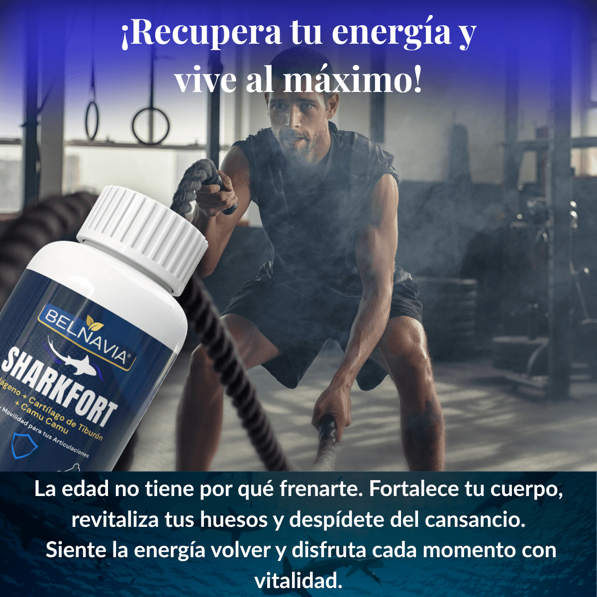 SharkFort™ - Colágeno Hidrolizado + Camu Camu + Cartílago de Tiburón